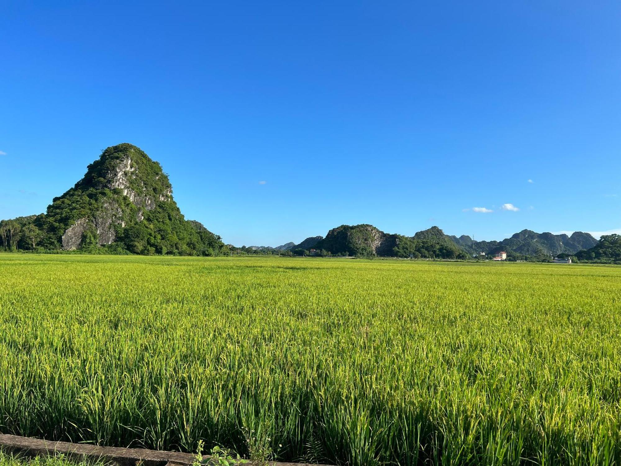 Ninh Binh Family Homestay Εξωτερικό φωτογραφία
